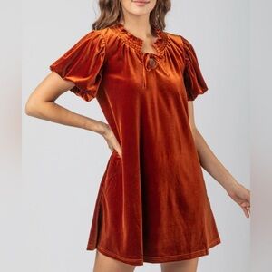 Velvet Smocked Mini Dress